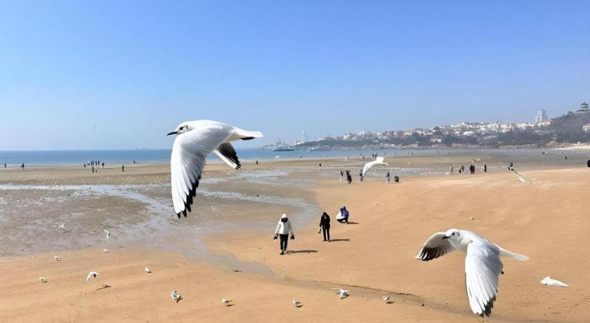 Grand Madison Qingdao Harbour-View Central（Former Qingdao Farglory Hotel） Esterno foto